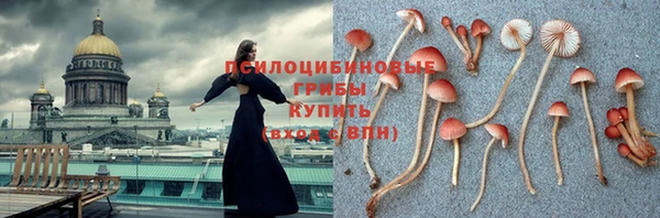 шишки Беломорск