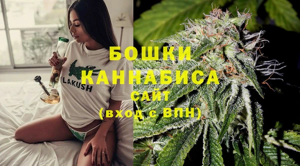 шишки Беломорск